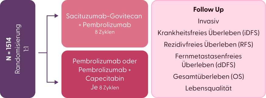 Studienaufbau