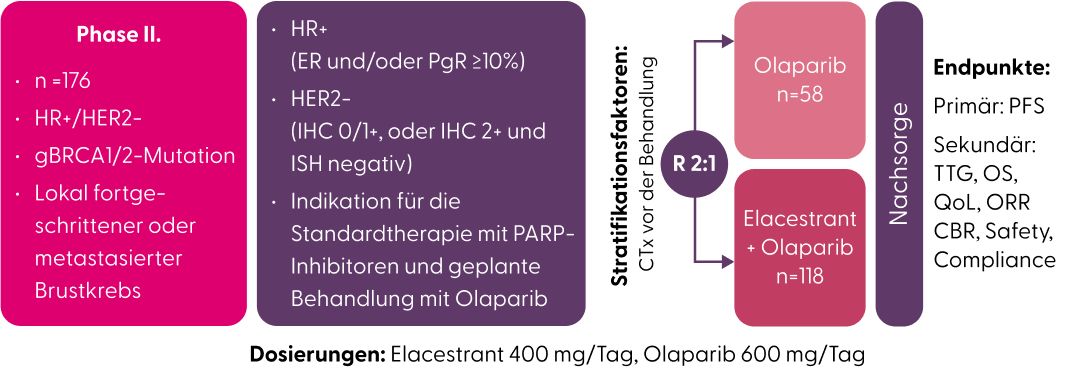 Studienaufbau