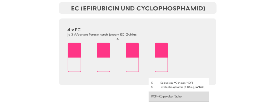 Schema-EC