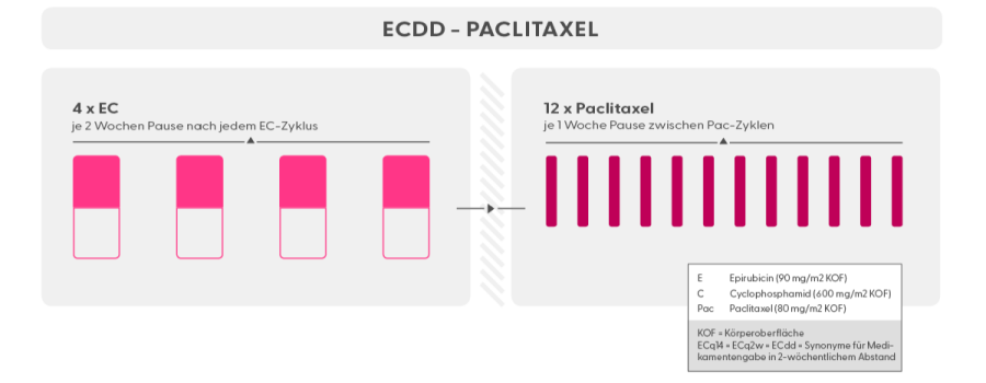 Schema-ECq14-Paclitaxal