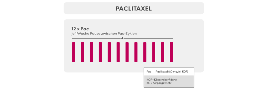 Schema-Paclitaxal
