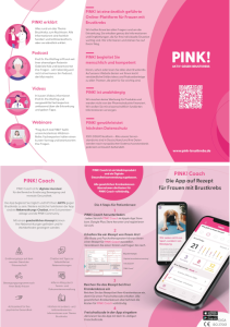 flyer_zickzack_pink_coach_teaser
